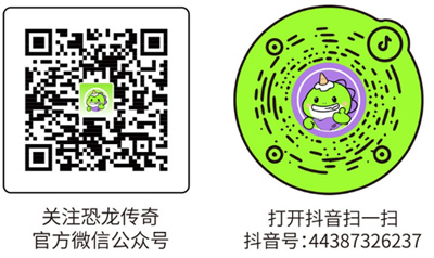 微信抖音二维码